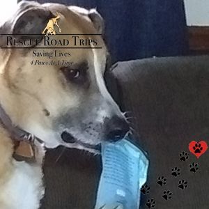 Meet your Posher, Deena